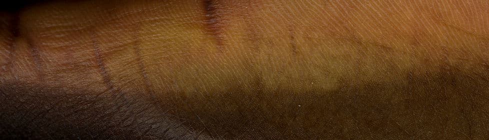 Thierry's Horizon kopiëren_edited.jpg