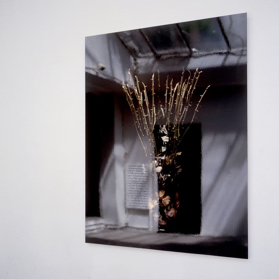 roos matroos met reflectie .jpg