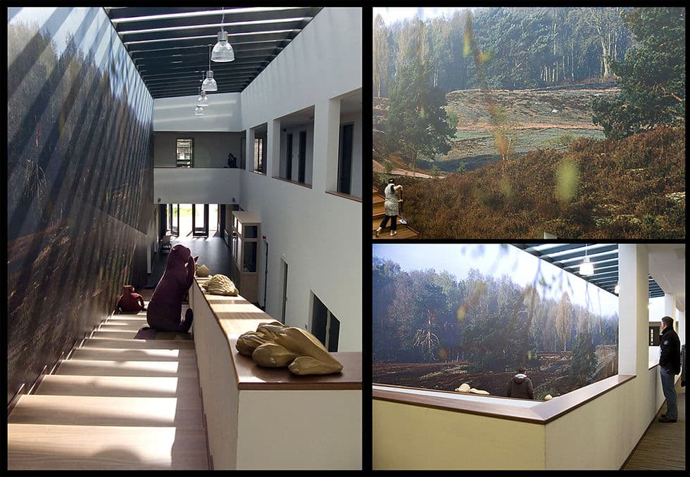 Golden woods 01 kopiëren.jpg