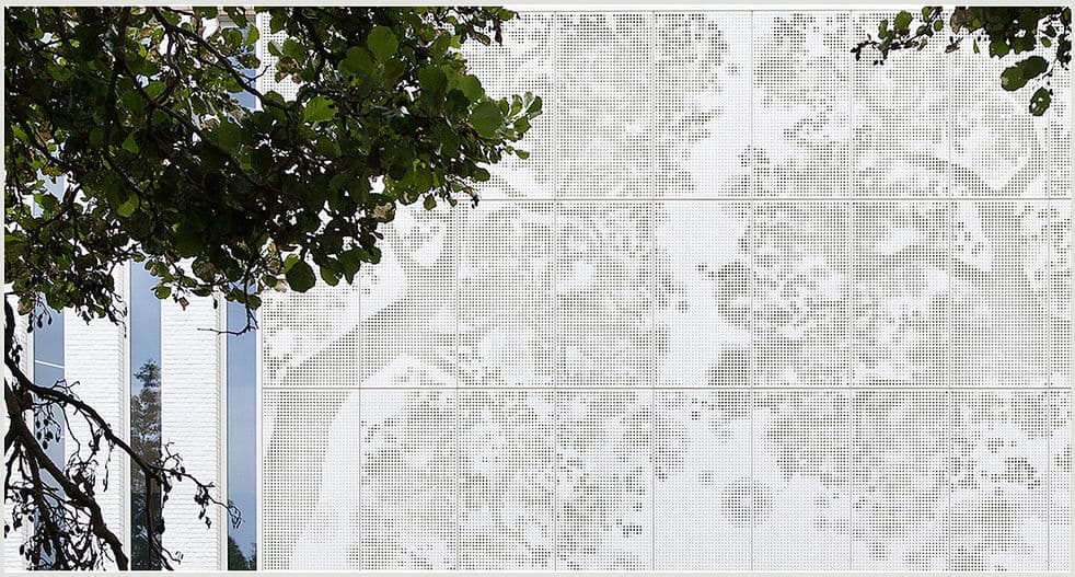 Under Cherry Trees 03.jpg